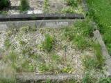 image of grave number 313918